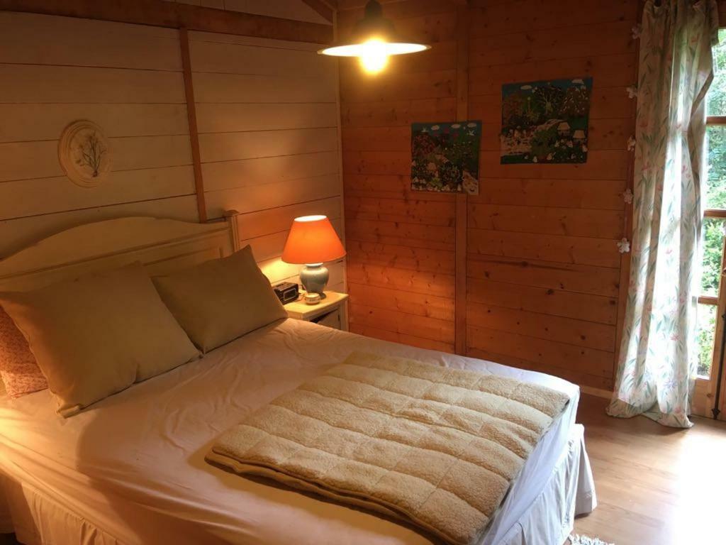 Huincaterra Hotell Villarrica Exteriör bild